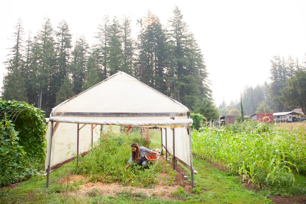 green living off-grid Green Living Off-Grid: Simple Daily Practices
