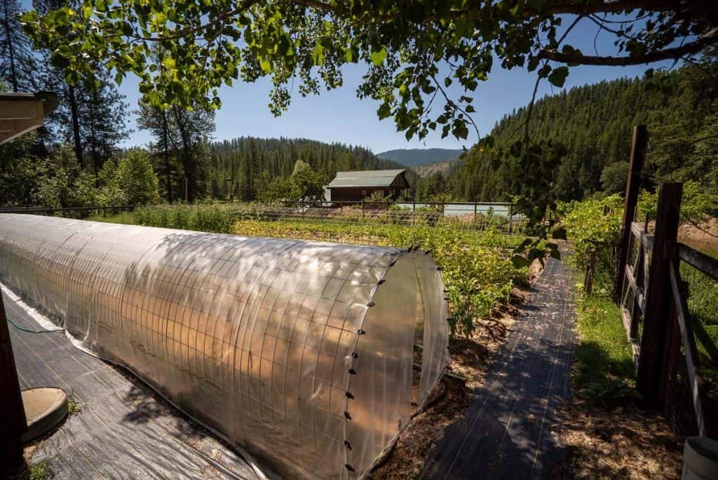 off-grid homestead startup timeline Off-Grid Homestead Startup Timeline for Beginners