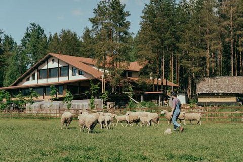 daily life off-grid homestead Daily Life on an Off-Grid Homestead Explained